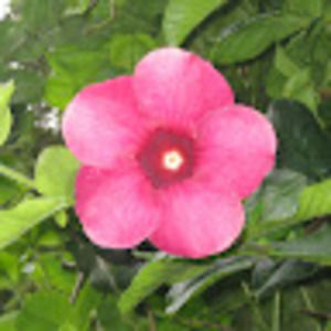 Meet your Posher, Stacey